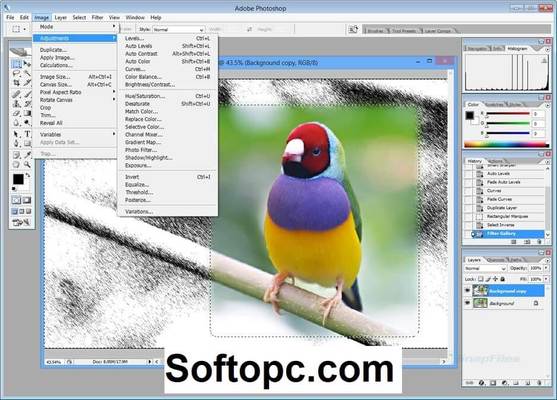 adobe photoshop cs2 free download for windows 7 32 bit