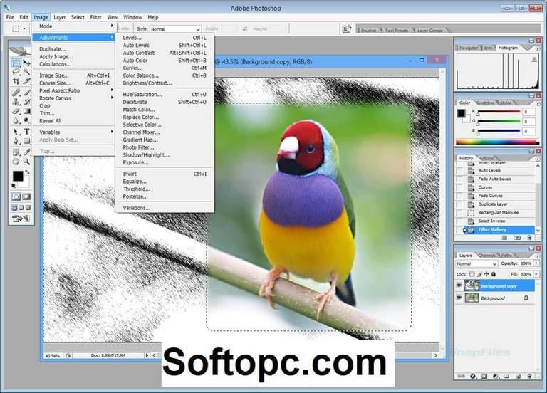 adobe photoshop cs2 software free download for windows xp