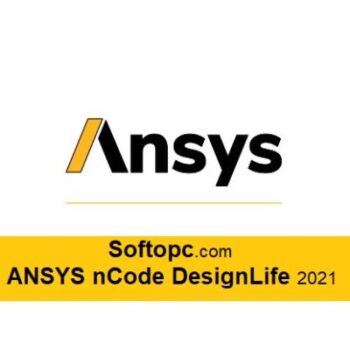 ANSYS nCode DesignLife 2021