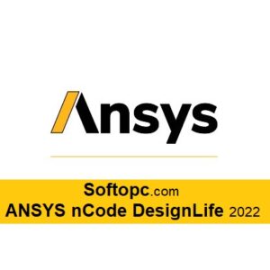 ANSYS nCode DesignLife 2022