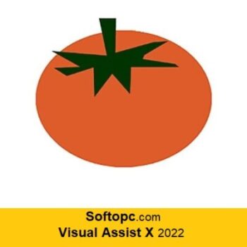 Visual Assist X 2022